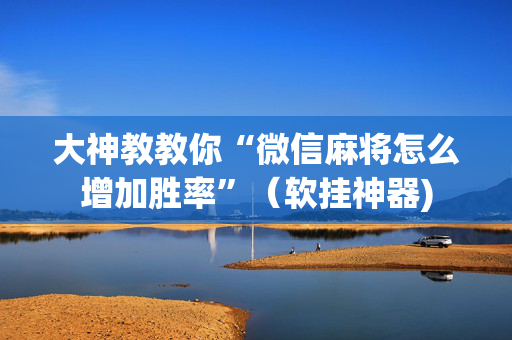 大神教教你“微信麻将怎么增加胜率”（软挂神器)