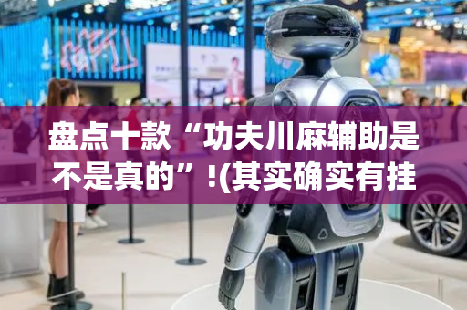 盘点十款“功夫川麻辅助是不是真的”!(其实确实有挂)-抖音