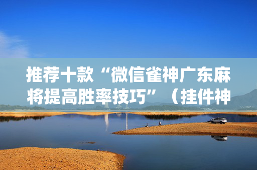 推荐十款“微信雀神广东麻将提高胜率技巧”（挂件神器)
