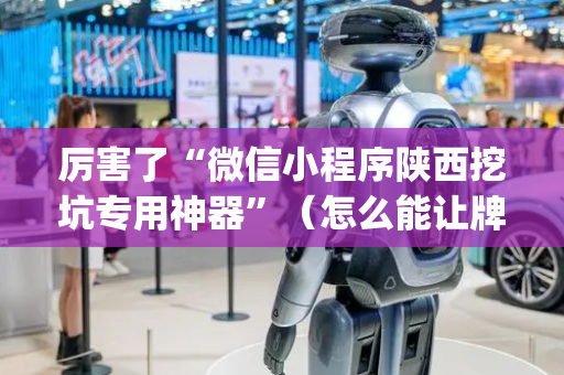厉害了“微信小程序陕西挖坑专用神器”（怎么能让牌好一点)