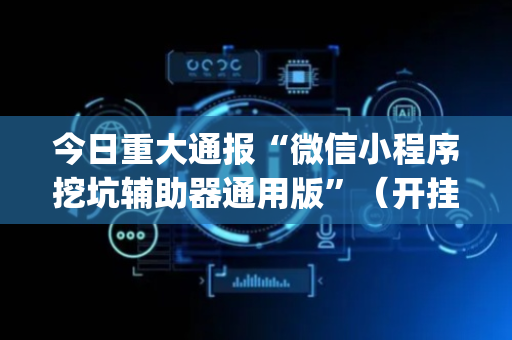 今日重大通报“微信小程序挖坑辅助器通用版”（开挂辅助插件)