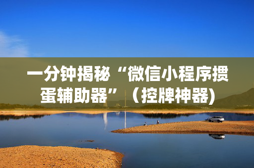 一分钟揭秘“微信小程序掼蛋辅助器”（控牌神器)