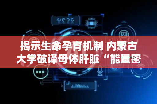 揭示生命孕育机制 内蒙古大学破译母体肝脏“能量密码”