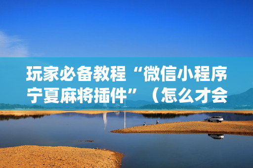 玩家必备教程“微信小程序宁夏麻将插件”（怎么才会赢)