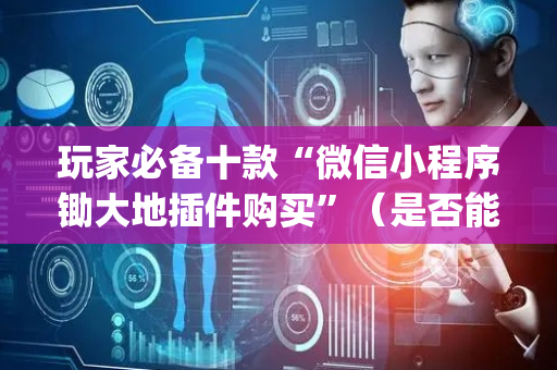 玩家必备十款“微信小程序锄大地插件购买”（是否能开挂)