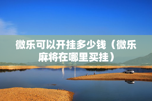 微乐可以开挂多少钱（微乐麻将在哪里买挂）