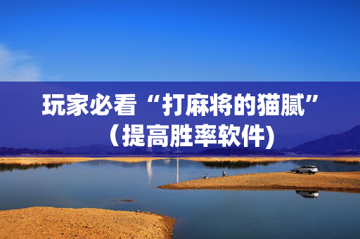 玩家必看“打麻将的猫腻”（提高胜率软件)