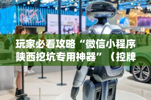 玩家必看攻略“微信小程序陕西挖坑专用神器”（控牌器)