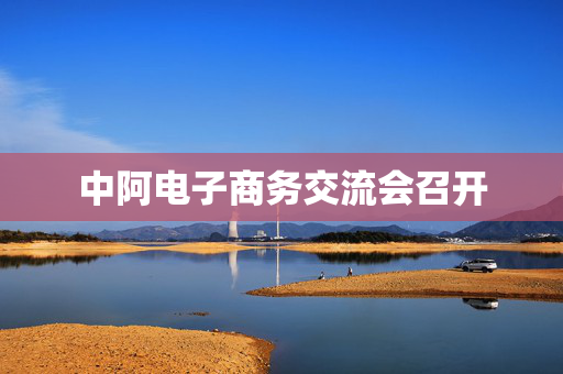 中阿电子商务交流会召开