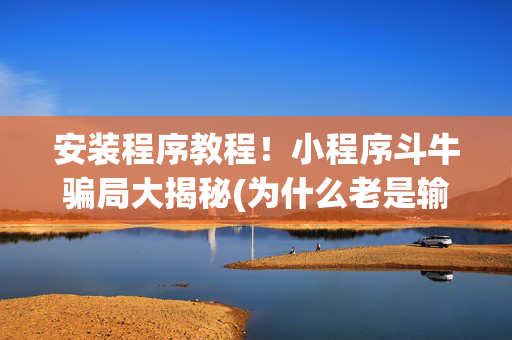 安装程序教程！小程序斗牛骗局大揭秘(为什么老是输呢)