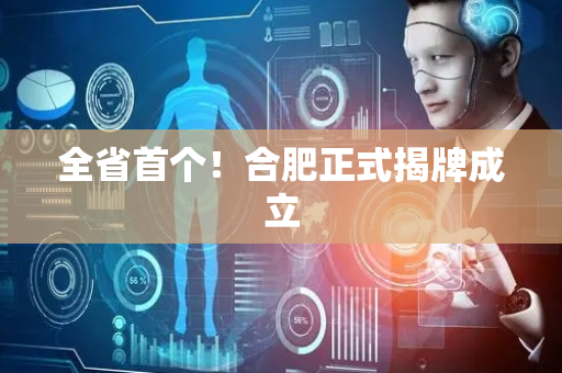 全省首个！合肥正式揭牌成立