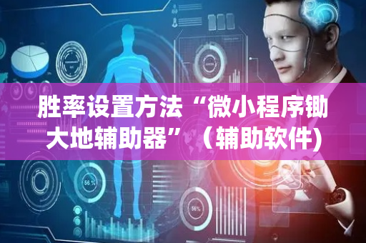 胜率设置方法“微小程序锄大地辅助器”（辅助软件)