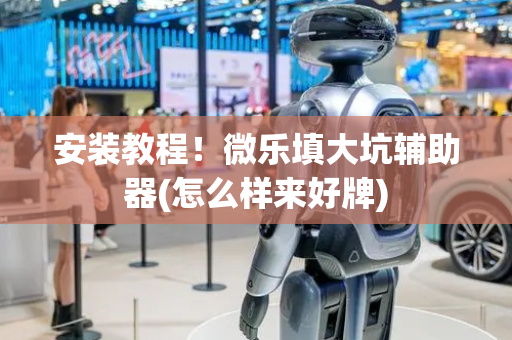 安装教程！微乐填大坑辅助器(怎么样来好牌)