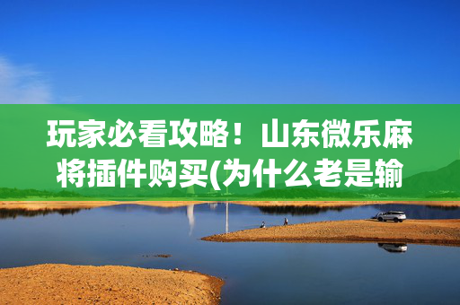 玩家必看攻略！山东微乐麻将插件购买(为什么老是输呢)