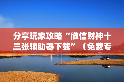 分享玩家攻略“微信财神十三张辅助器下载”（免费专用神器)