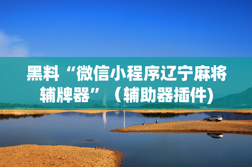 黑料“微信小程序辽宁麻将辅牌器”（辅助器插件)