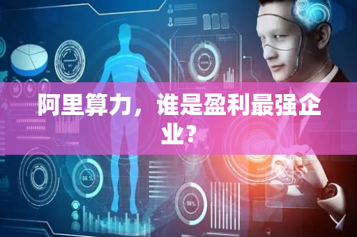 阿里算力，谁是盈利最强企业？