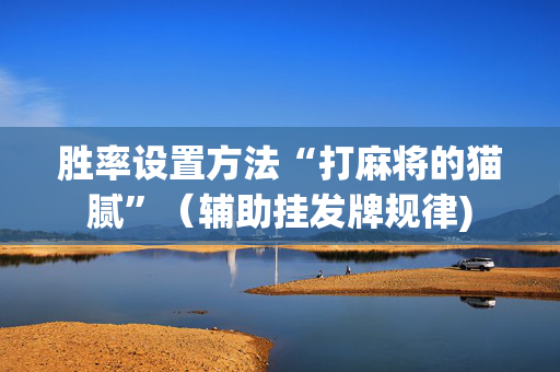胜率设置方法“打麻将的猫腻”（辅助挂发牌规律)