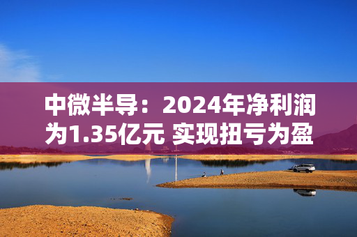中微半导：2024年净利润为1.35亿元 实现扭亏为盈