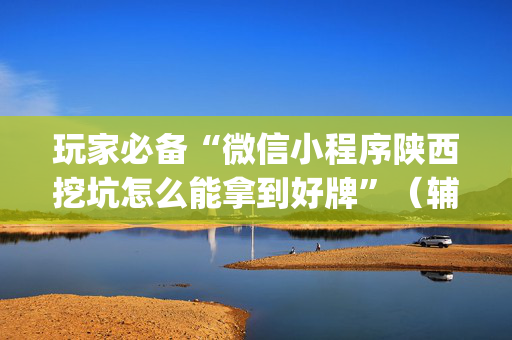 玩家必备“微信小程序陕西挖坑怎么能拿到好牌”（辅助器通用版)
