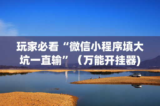玩家必看“微信小程序填大坑一直输”（万能开挂器)