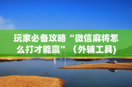 玩家必备攻略“微信麻将怎么打才能赢”（外辅工具)