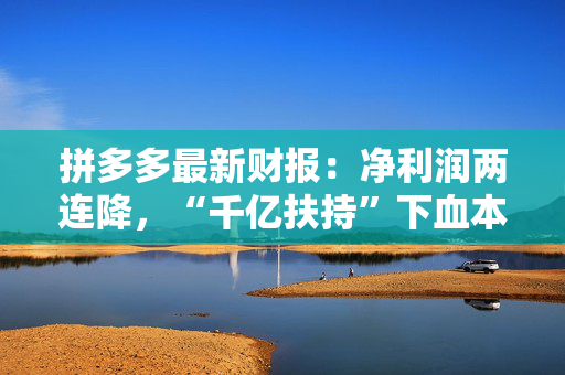 拼多多最新财报：净利润两连降，“千亿扶持”下血本