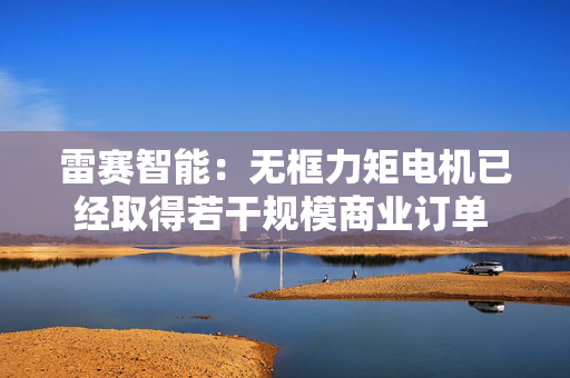 雷赛智能：无框力矩电机已经取得若干规模商业订单 累计供货超万台