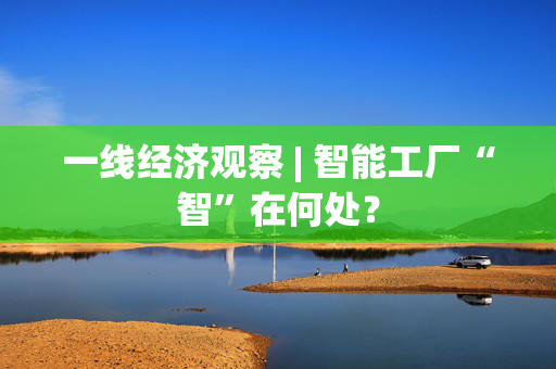 一线经济观察 | 智能工厂“智”在何处？