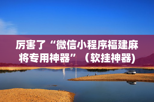 厉害了“微信小程序福建麻将专用神器”（软挂神器)