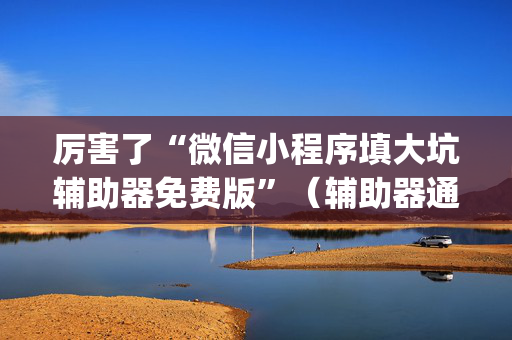 厉害了“微信小程序填大坑辅助器免费版”（辅助器通用版)