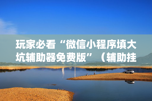 玩家必看“微信小程序填大坑辅助器免费版”（辅助挂发牌规律)