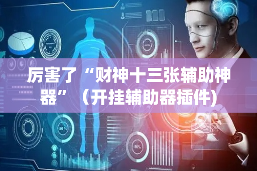 厉害了“财神十三张辅助神器”（开挂辅助器插件)