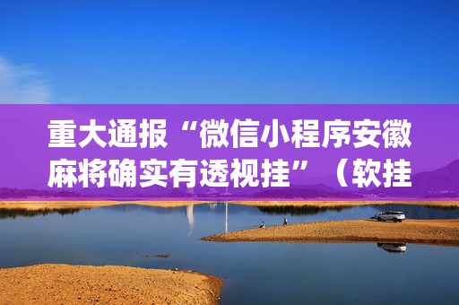 重大通报“微信小程序安徽麻将确实有透视挂”（软挂神器)