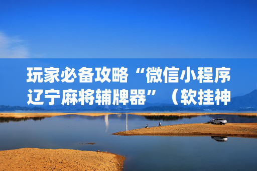 玩家必备攻略“微信小程序辽宁麻将辅牌器”（软挂神器)