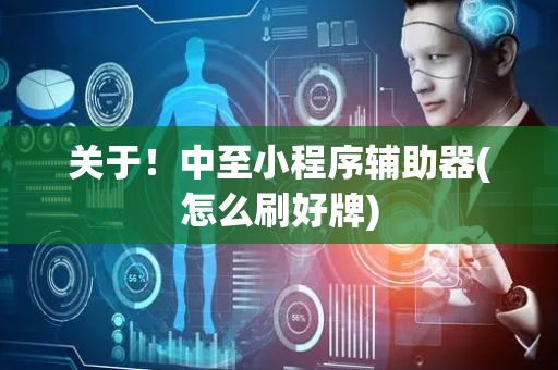 关于！中至小程序辅助器(怎么刷好牌)