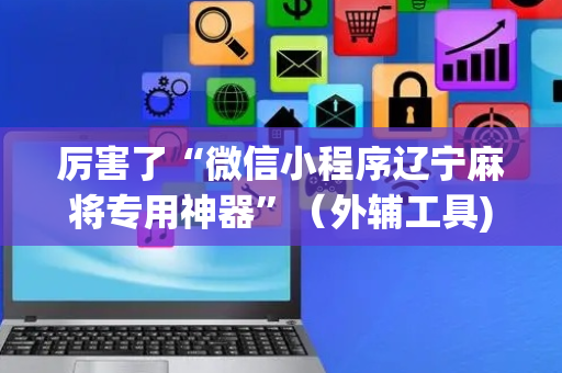 厉害了“微信小程序辽宁麻将专用神器”（外辅工具)