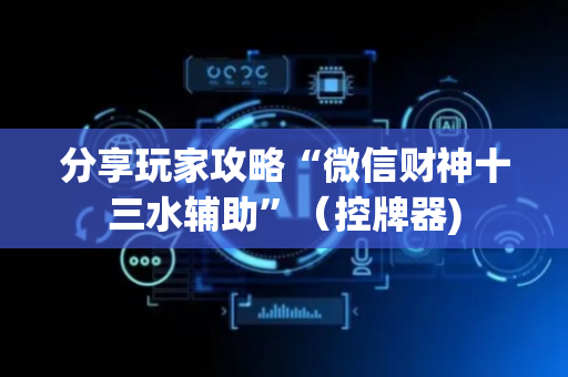 分享玩家攻略“微信财神十三水辅助”（控牌器)