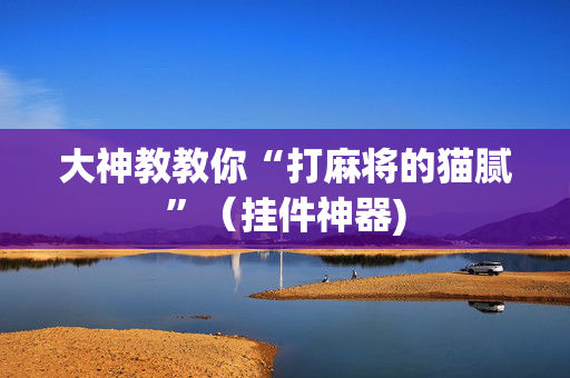 大神教教你“打麻将的猫腻”（挂件神器)