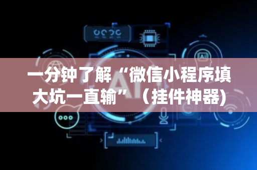 一分钟了解“微信小程序填大坑一直输”（挂件神器)