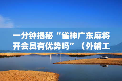 一分钟揭秘“雀神广东麻将开会员有优势吗”（外辅工具)