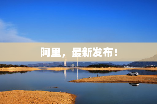 阿里，最新发布！