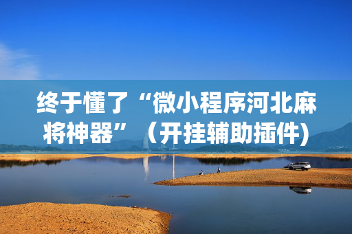 终于懂了“微小程序河北麻将神器”（开挂辅助插件)