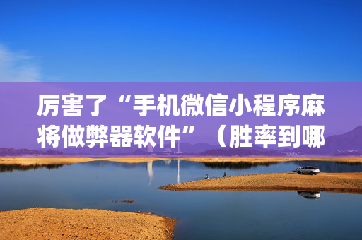 厉害了“手机微信小程序麻将做弊器软件”（胜率到哪调)