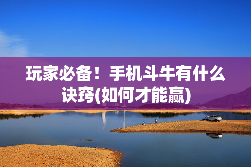 玩家必备！手机斗牛有什么诀窍(如何才能赢)