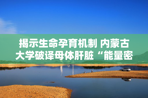 揭示生命孕育机制 内蒙古大学破译母体肝脏“能量密码”