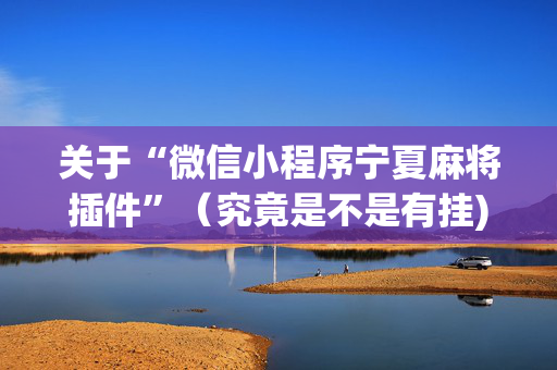 关于“微信小程序宁夏麻将插件”（究竟是不是有挂)