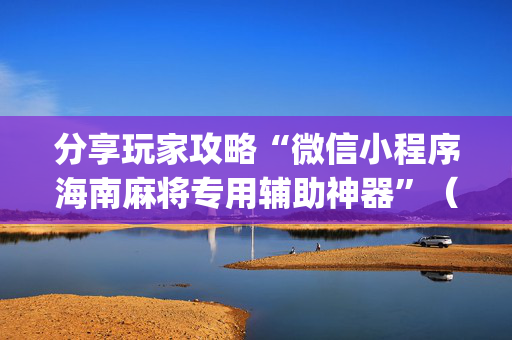 分享玩家攻略“微信小程序海南麻将专用辅助神器”（提高胜率软件)