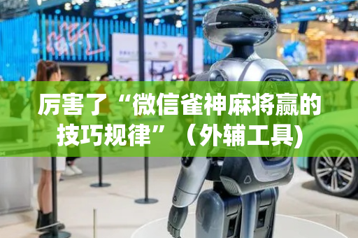 厉害了“微信雀神麻将赢的技巧规律”（外辅工具)