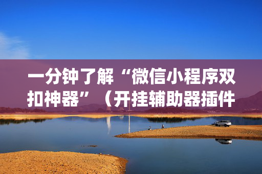 一分钟了解“微信小程序双扣神器”（开挂辅助器插件)